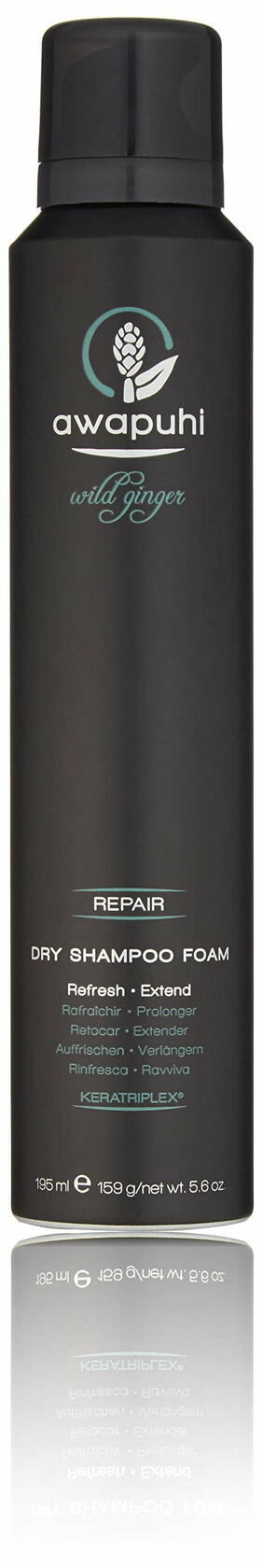 Paul Mitchell Awapuhi Wild Ginger Dry Shampoo Foam 5.6 oz