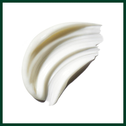 Aveda Be Curly Advanced Conditioner | Moisturizing Conditioner for Curly, Coily, Wavy Hair | Fights Frizz | Silicone Free | 97% Naturally Derived, 33.8 Fl Oz