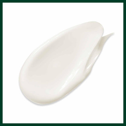 Aveda Botanical Repair Strengthening Conditioner 33.8 Fl OZ