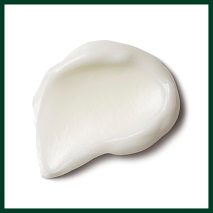 Aveda Nutriplenish Treatment Masque Deep Moisture, 6.7 Fl Oz