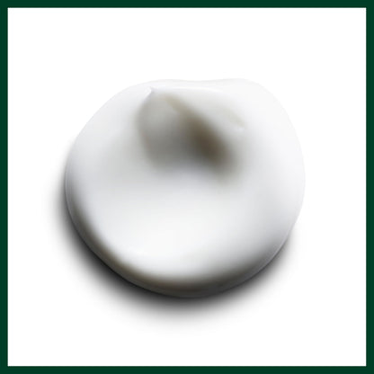 Aveda Smooth Infusion Style-Prep Smoother 3.4 oz