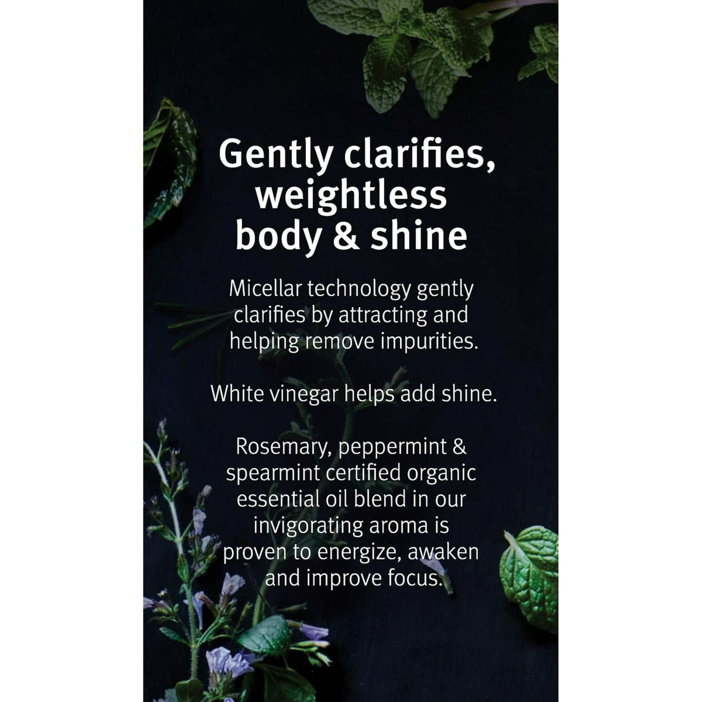 Aveda Mint Purifying Shampoo and Weightless Conditioner Duo Liter, Rosemary