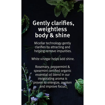 Aveda Mint Purifying Shampoo and Weightless Conditioner Duo Liter, Rosemary