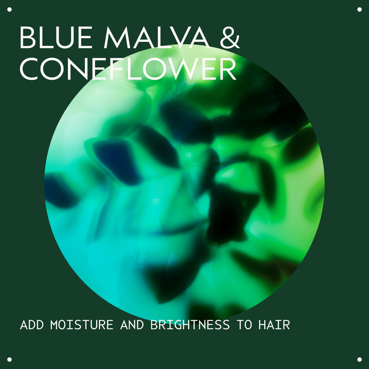 Aveda Blue Malva Shampoo | Purple Shampoo for Gray and Blonde Hair | Neutralizes Brassiness and Yellow Tones |With Blue Malva and Coneflower | 95% Naturally Derived* | Liter Size | 33.8 Fl Oz