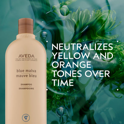 Aveda Blue Malva Shampoo | Purple Shampoo for Gray and Blonde Hair | Neutralizes Brassiness and Yellow Tones |With Blue Malva and Coneflower | 95% Naturally Derived* | Liter Size | 33.8 Fl Oz