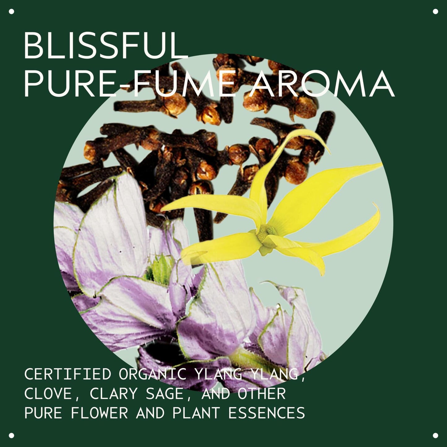 Aveda Control Paste, 2.5 oz