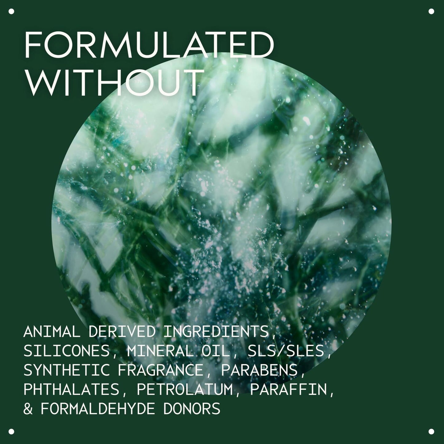 Aveda Botanical Kinetics Exfoliant 5 oz