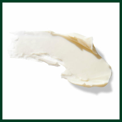 Aveda Mens Pure-Formance Grooming Clay, 75 ml/2.6-Ounce Jar