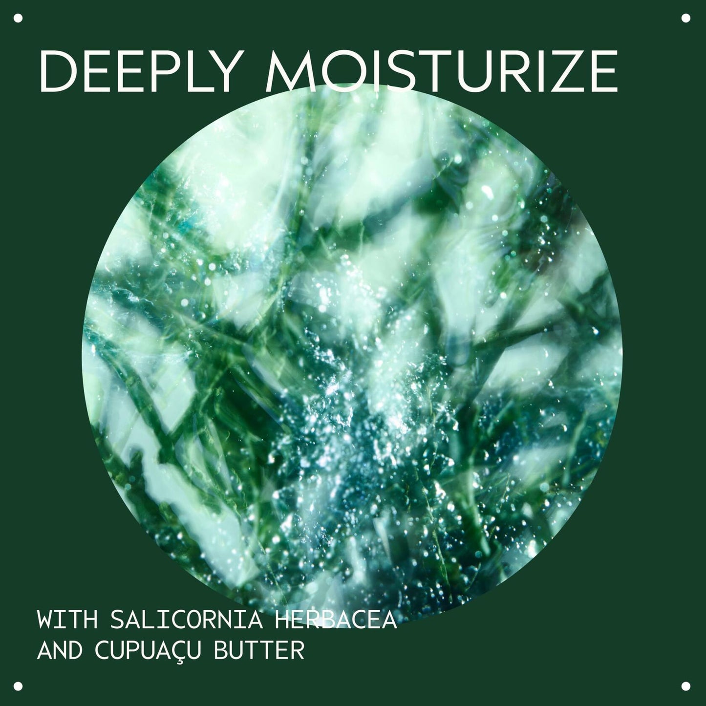 Aveda Botanical Kinetics Hydrating Rich Cream 1.7 oz