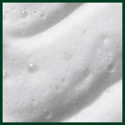 Aveda Nutriplenish Styling Treatment Foam 6.7 oz