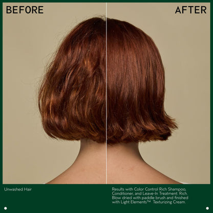 Aveda Color Control Leave in Treatment Rich 3.4 oz