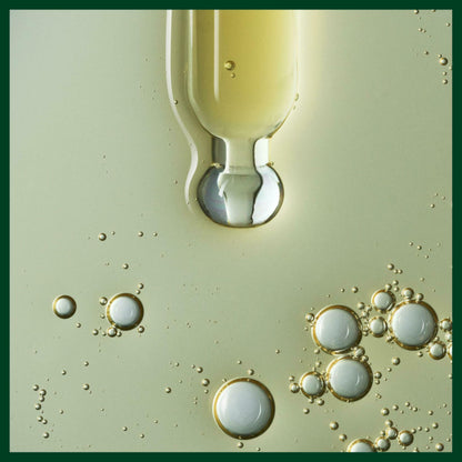 Aveda Scalp Solutions Overnight Scalp Renewal Serum 50ml/1.7oz