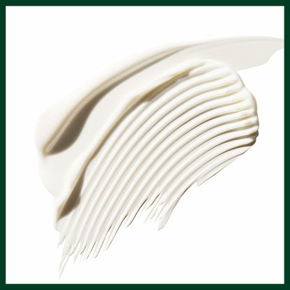 Aveda Color Control Leave in Treatment Rich 3.4 oz