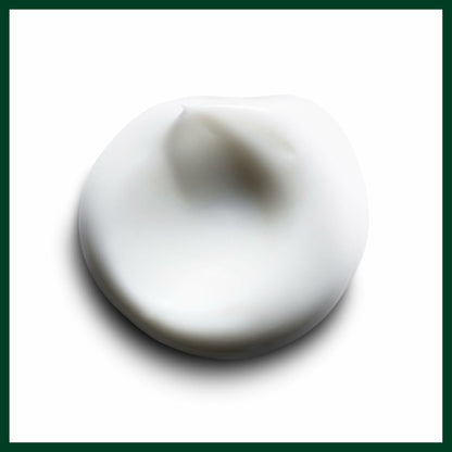 Aveda Smooth Infusion Style-Prep Smoother 3.4 oz