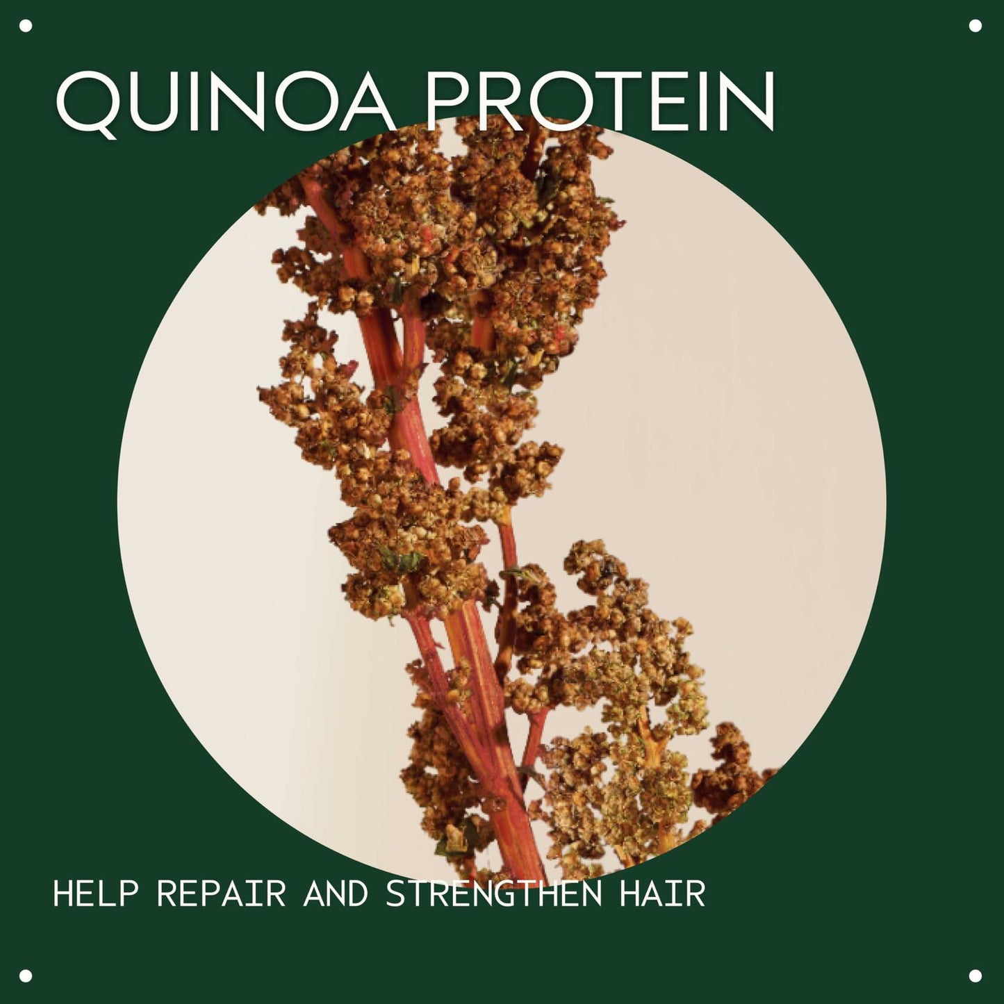 Aveda Damage Remedy Restructuring Shampoo, 8.5 oz