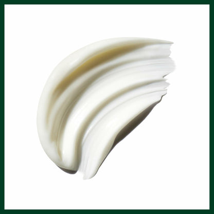 Aveda Be Curly Advanced Conditioner for Curly, Coily, Wavy Hair, 8.5 Fl Oz