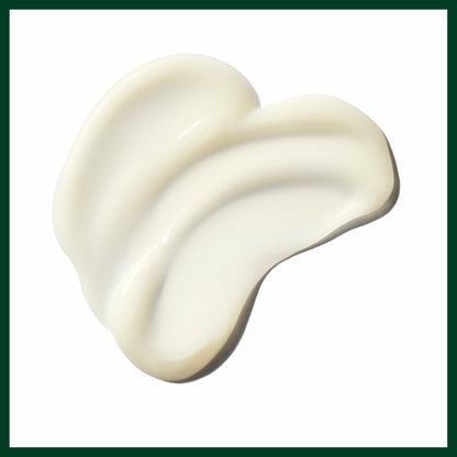 Aveda Be Curly Advanced Co-Wash, Hydrates Curly & Coily Hair, 11.8 Fl OZ