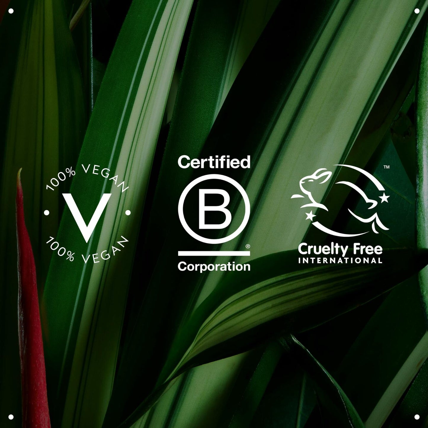 Aveda Be Curly Advanced Coil Definer Gel, Strong Hold Gel for Coily Hair, 8.8 OZ